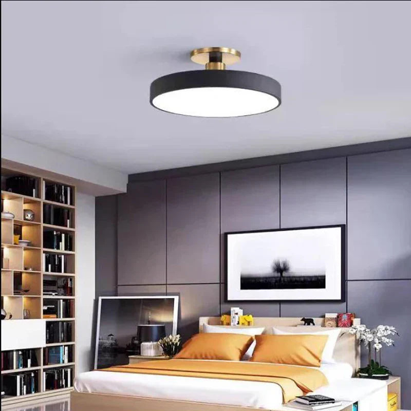 DecorBites™ LED Ceiling Lamp for Living Room Study Child Bedroom Indoor Lighting