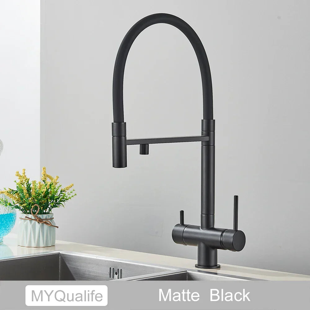 DecorBites™ Black Filtered Kitchen Faucet Brass Dual Handle Pure Water Mixer Taps
