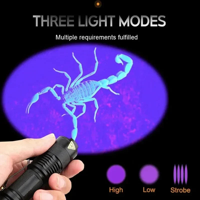 LED UV Flashlight Rechargeable | 395nm Ultraviolet Blacklight for Pet Urine Detection
