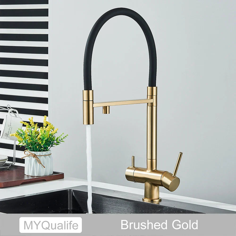 DecorBites™ Black Filtered Kitchen Faucet Brass Dual Handle Pure Water Mixer Taps
