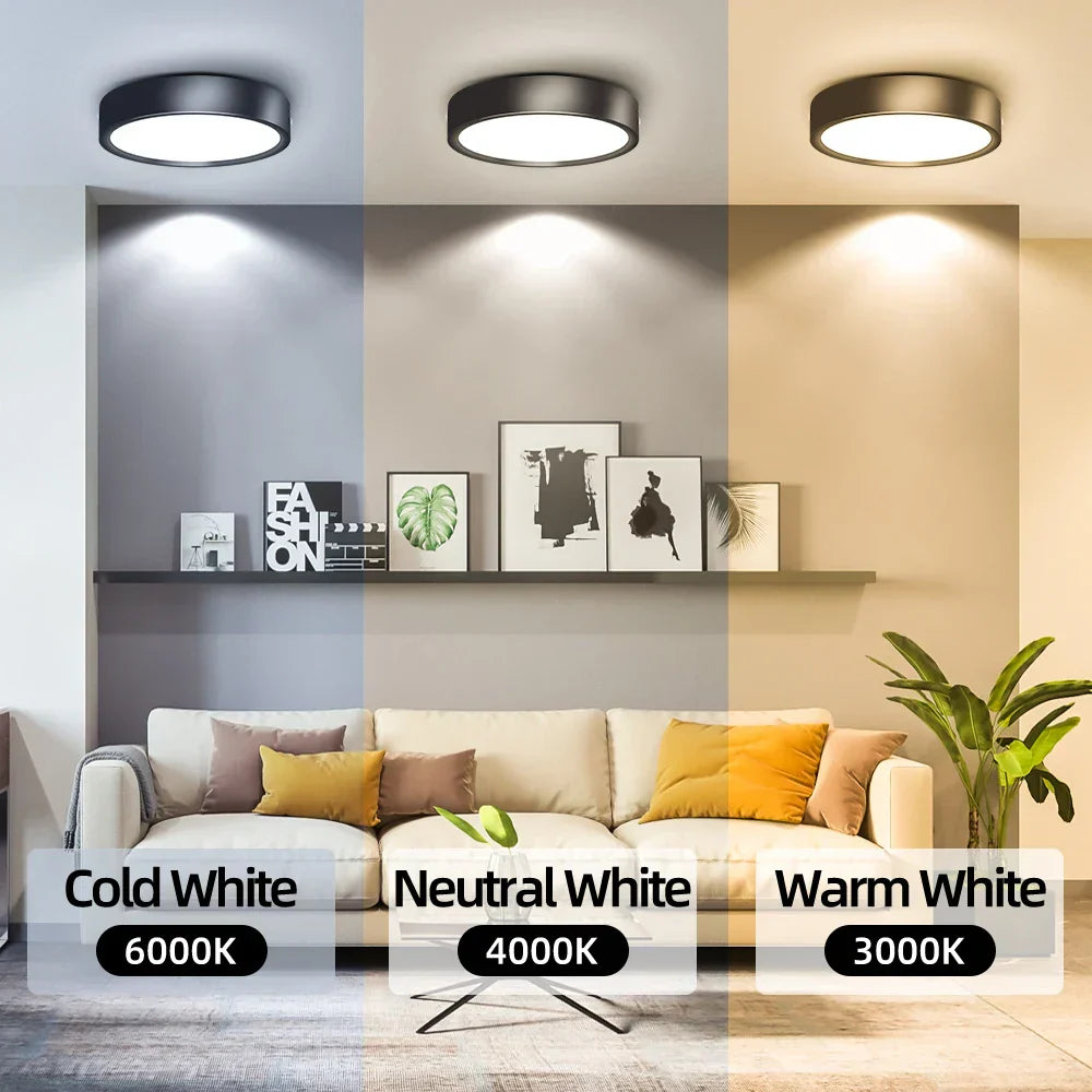 DecorBites™ LED Ceiling Lamp 220V Indoor Lighting Fixture for Kitchen Room & Platform