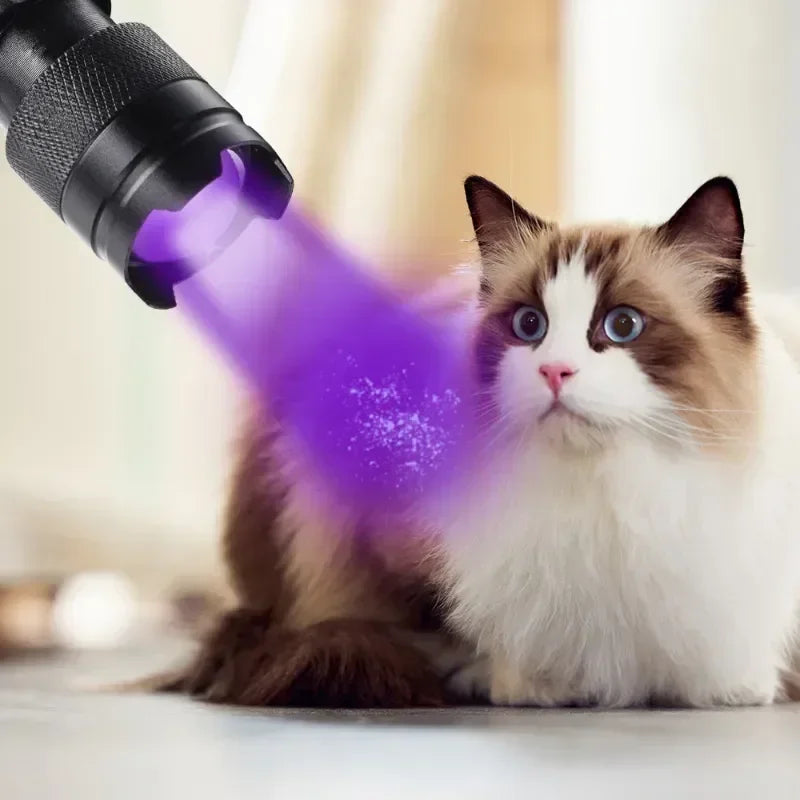 Portable UV Flashlight 365-395nm | Black Light Ultraviolet Torch for Pet Urine Detection