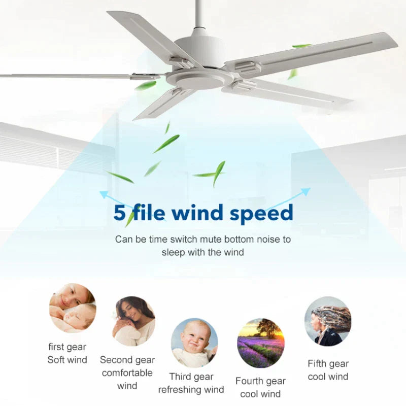 DecorBites™ 52/56 Inch 35W DC Motor Modern Ceiling Fan with Remote Control