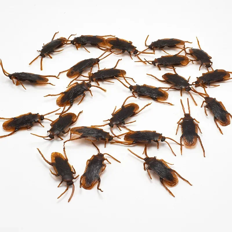 Fake Roach and Bug Set | Halloween Prank Props