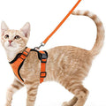 Cat Harness and Leash – Soft Adjustable Escape-Proof Vest for Walking Cats