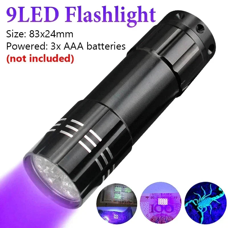 Portable UV Flashlight 365-395nm | Black Light Ultraviolet Zoomable Torch for Pet Urine and Stain Detection