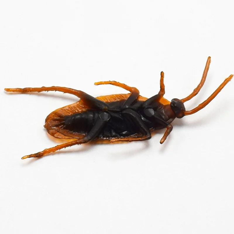 Lifelike Fake Cockroach Gag Props | Horror Joke Prank Toys
