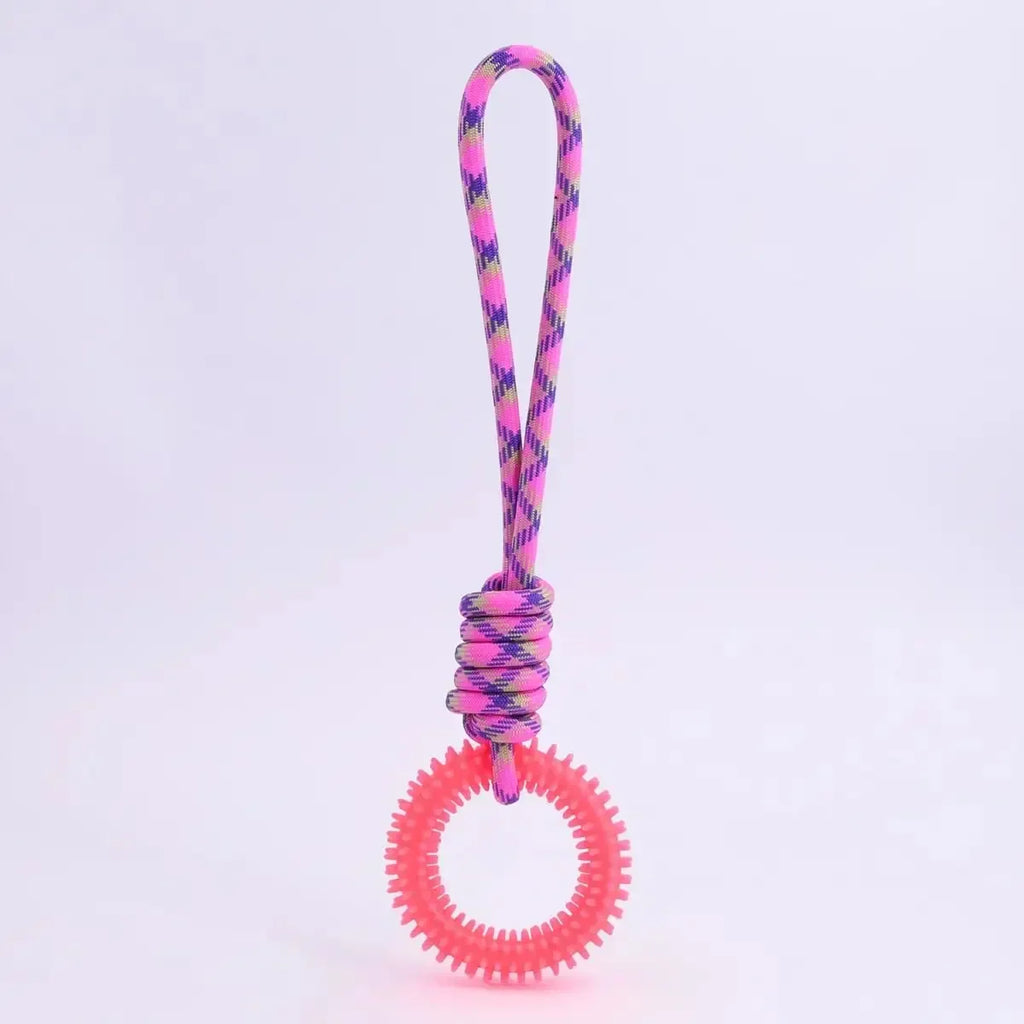 Colorful Woven Nylon Rope and Rubber Dog Toy | Chew Resistant Outdoor Play