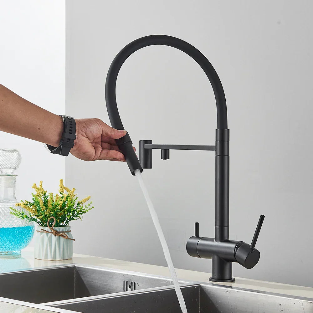 DecorBites™ Black Filtered Kitchen Faucet Brass Dual Handle Pure Water Mixer Taps