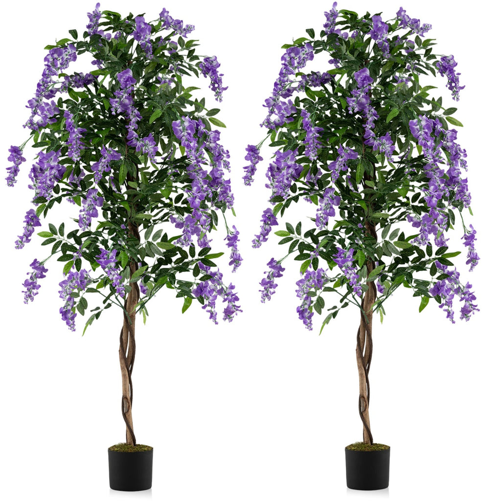 Set of 2 Fake Ficus Plant 6 FT Artificial Wisteria Tree with Natural Trunks and Purple Lifelike Flowers