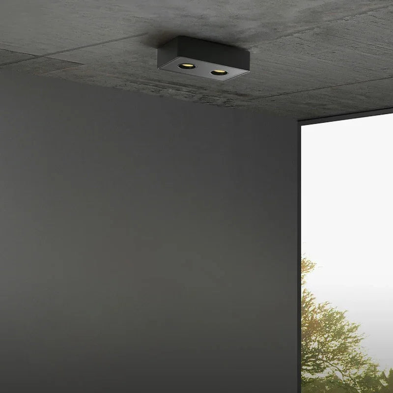 DecorBites™ 24W Ultra-thin LED Ceiling Spot Light for Living Room