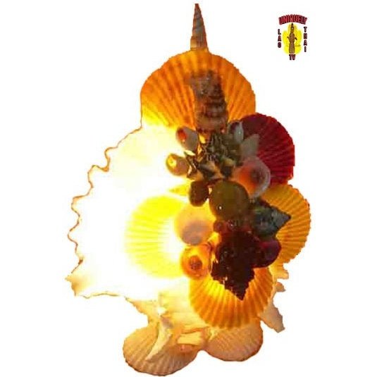 Shell Lamp