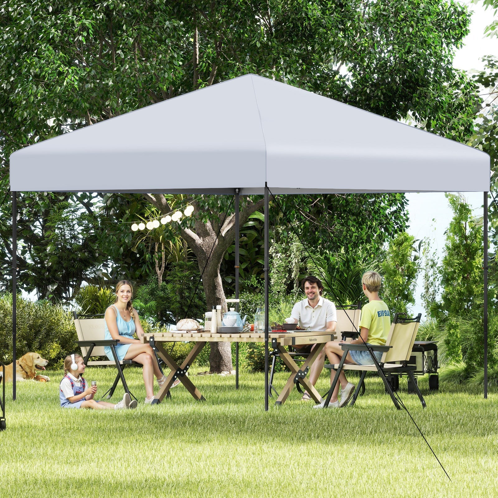 10 X 10 Feet Pop up Canopy Tent with Portable Carrying Bag and 8 Stakes