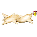 Two Swimming Dolphins Together