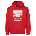 Christmas I Want To Believe WHT