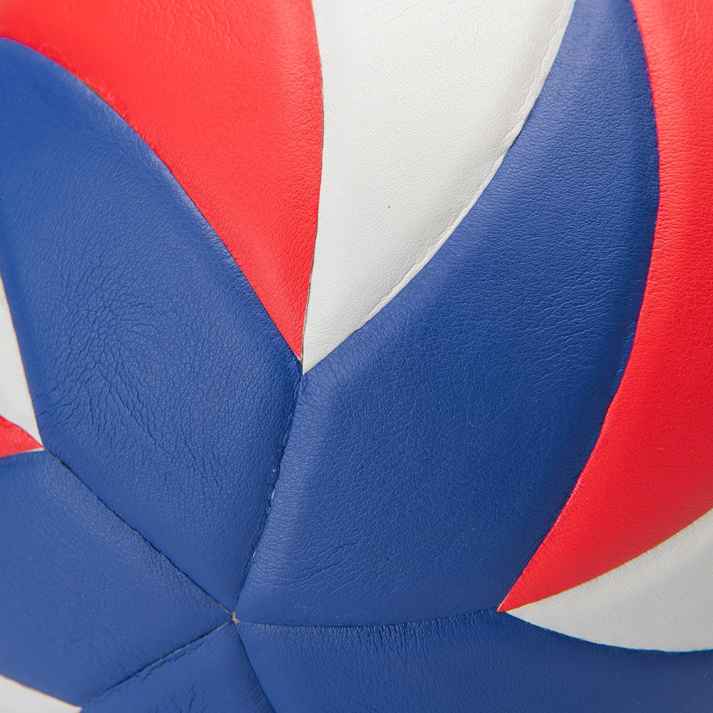 WAVE SOFT TOUCH PRO PERFORMANCE VOLLEYBALL