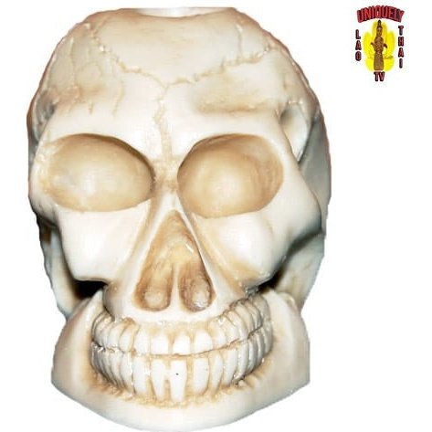 White Skull Candle Holder