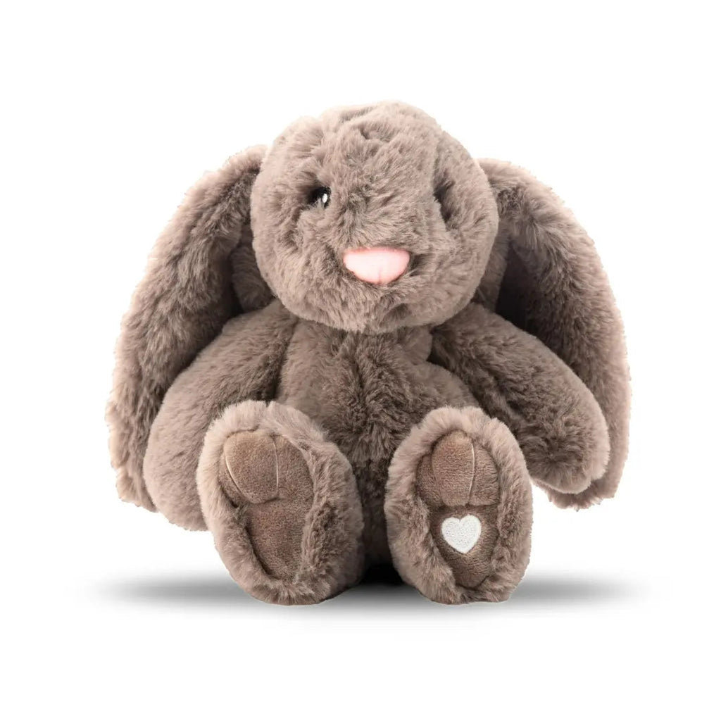 The Xander Bunny Box