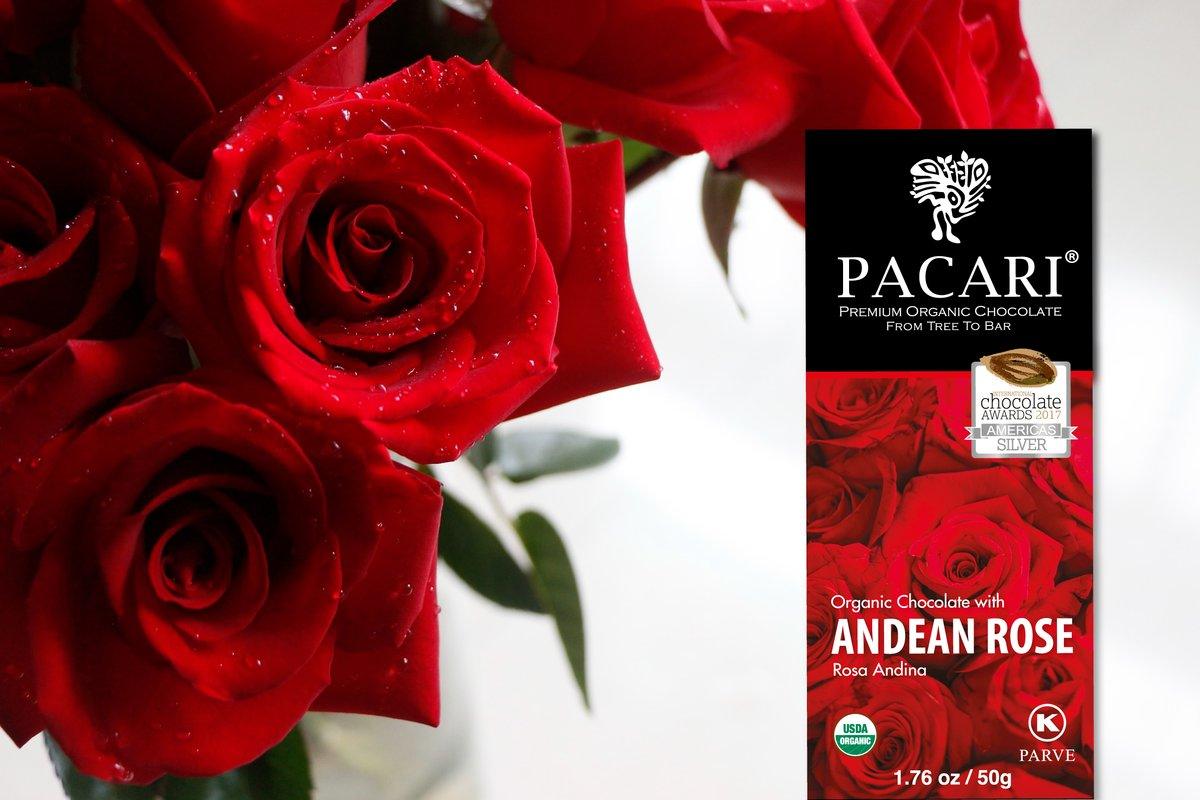 Andean Rose Organic Chocolate Bar