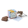 ToyChoc Box® - DiNOSAURS