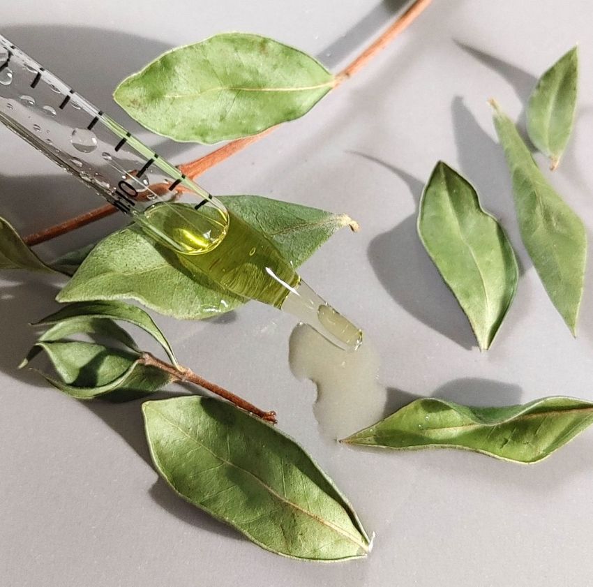 Moisturizing | Face Oil | Skin Care