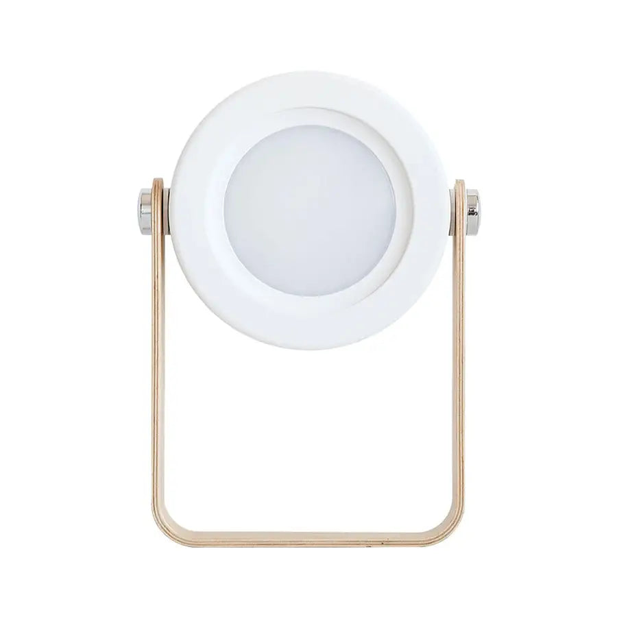 Battery-Operated Wall Sconce Lantern