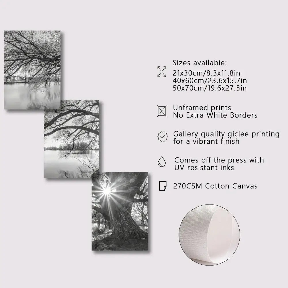 Big Tree Sunset Canvas Posters