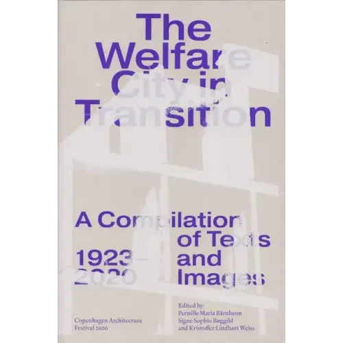 The Welfare City in Transition - Paperback