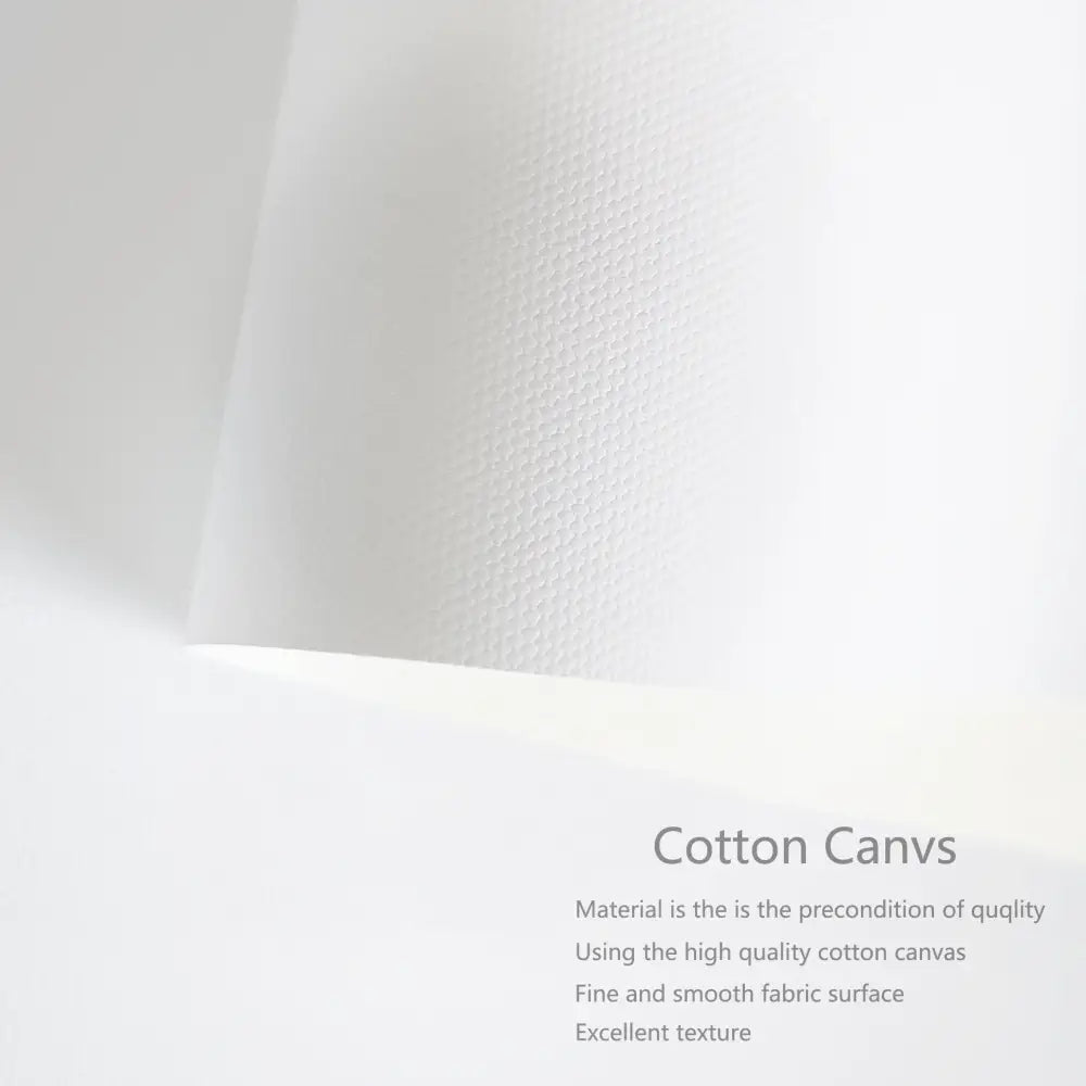 Black White Modern Canvas Print