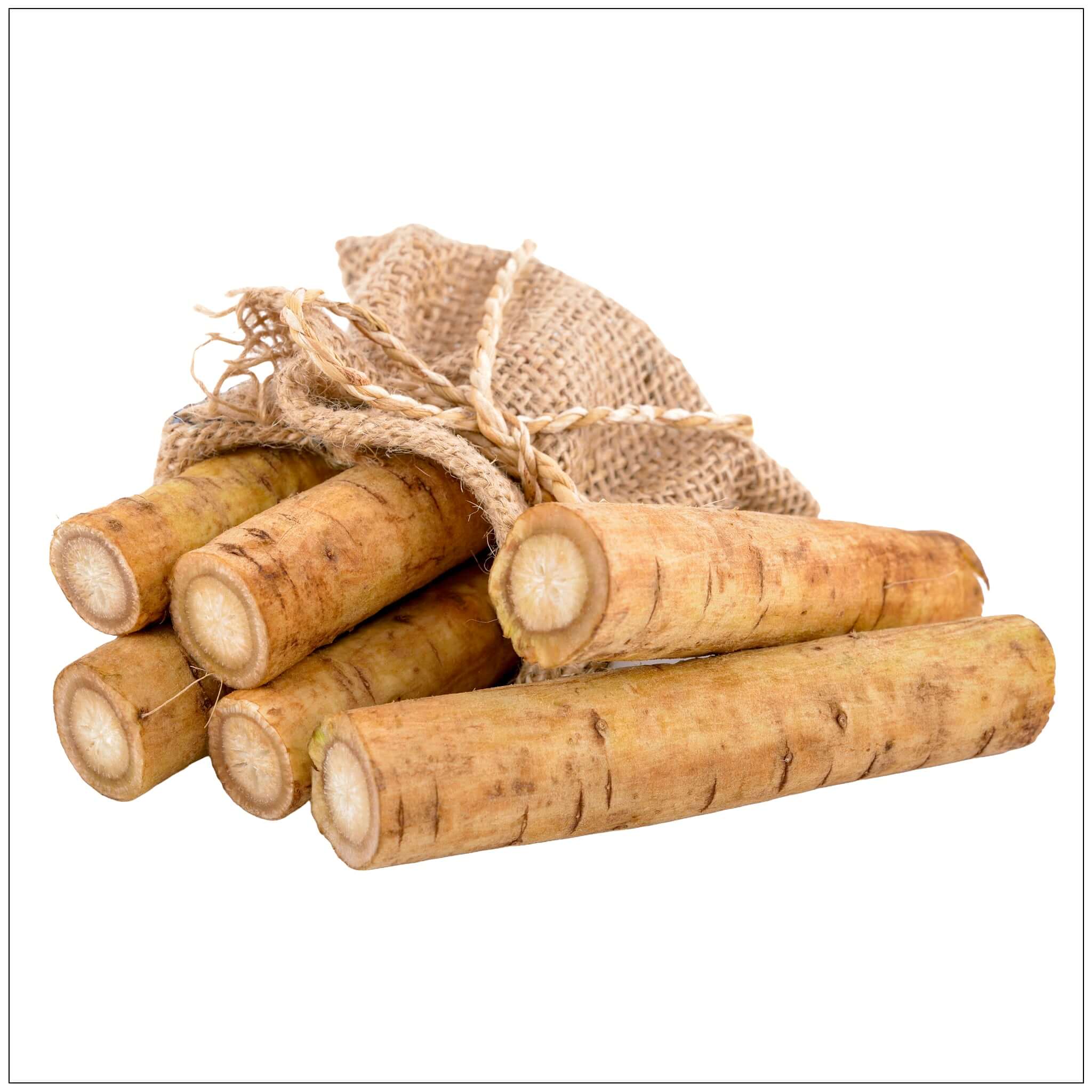 Burdock Root