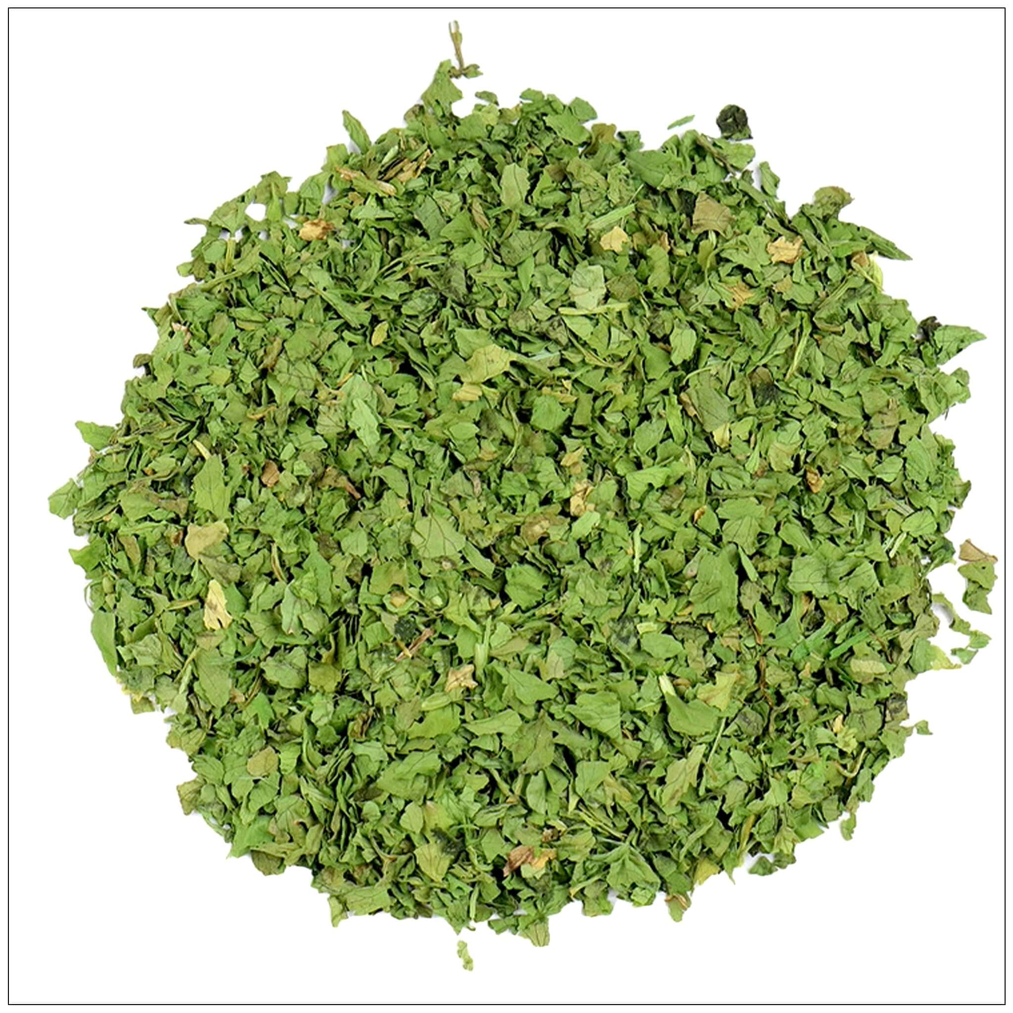 Cilantro Leaf