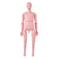 Nursing Training Manikin, Male Life Size Demonstration Human Manikin for Nursing Training, Multifunctional Education Teaching Model Supplies, PVC Anatomical Mannequin Body Care Simulator Model