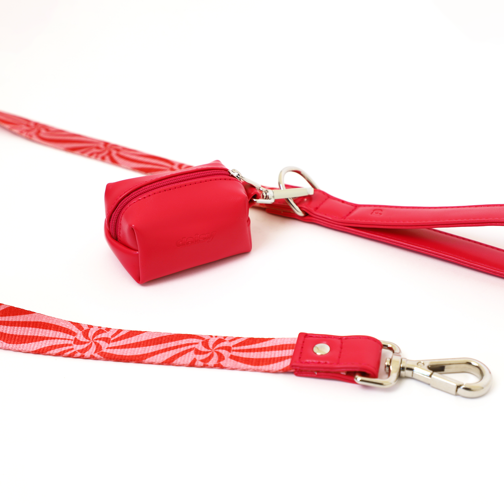 Ginger Leash