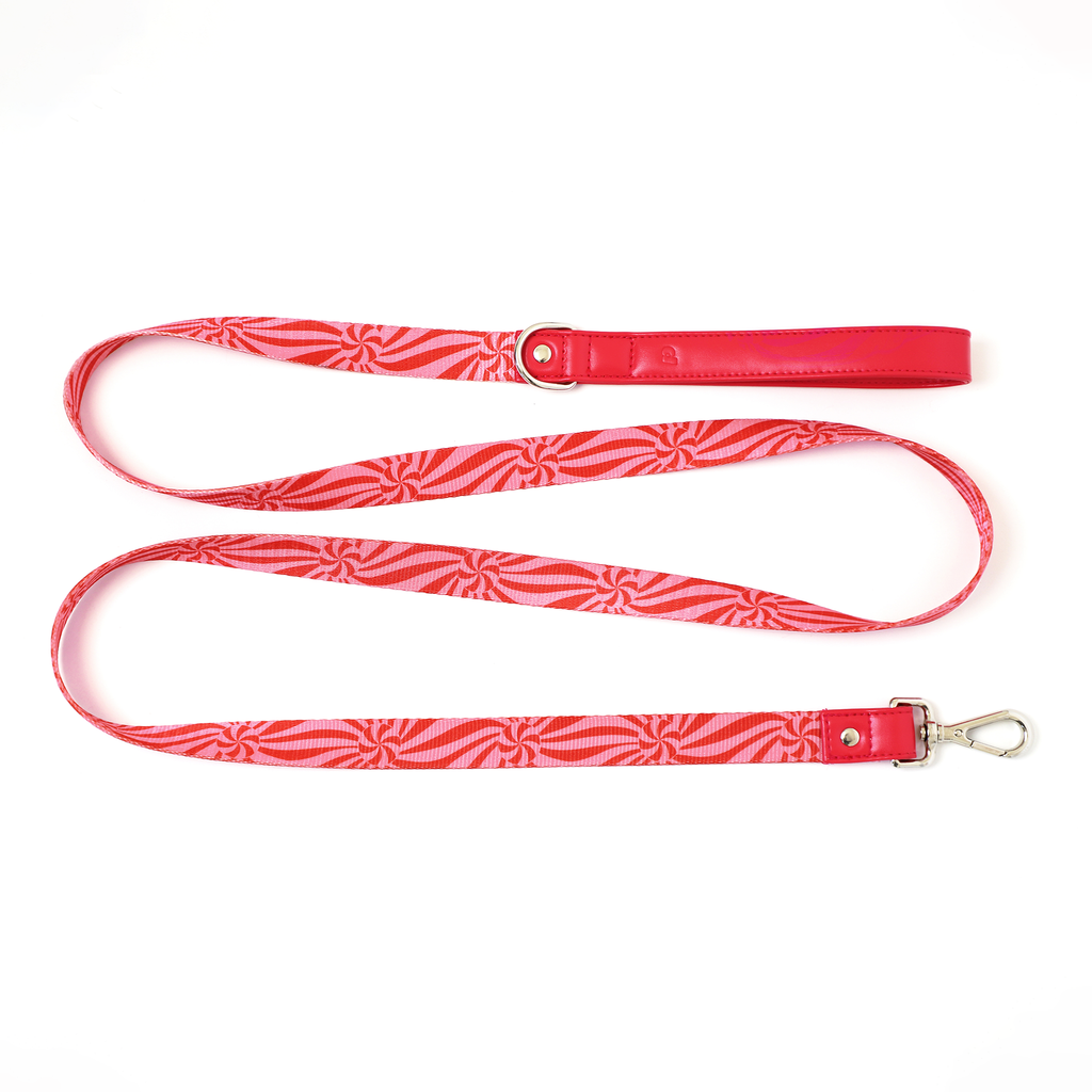 Ginger Leash