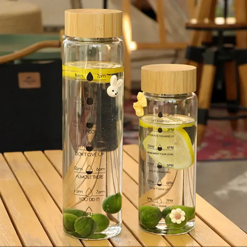 Modern glass water bottle with wood lid and tea filter kitchen accessory