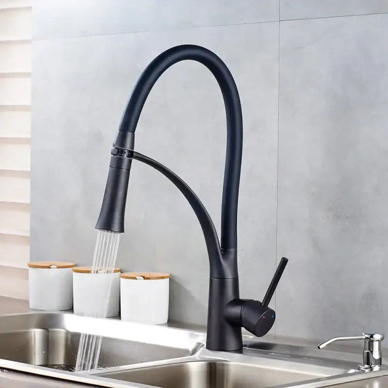 DecorBites™ Black Hose Kitchen Mixer Tap with Single Handle Stream Sprayer, Chrome Finish