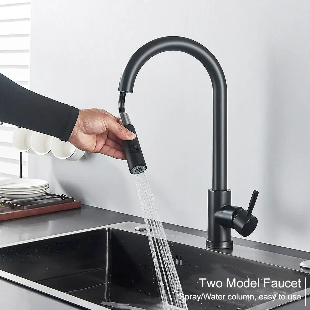 DecorBites™ Black Kitchen Faucet: Single Handle Pull Out Mixer, Two Function Hot and Cold Water Taps