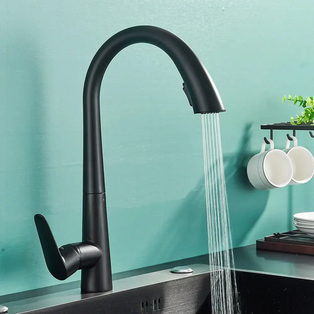 DecorBites™ Black Kitchen Faucet with Pull Out Sprayer and Single Lever Control