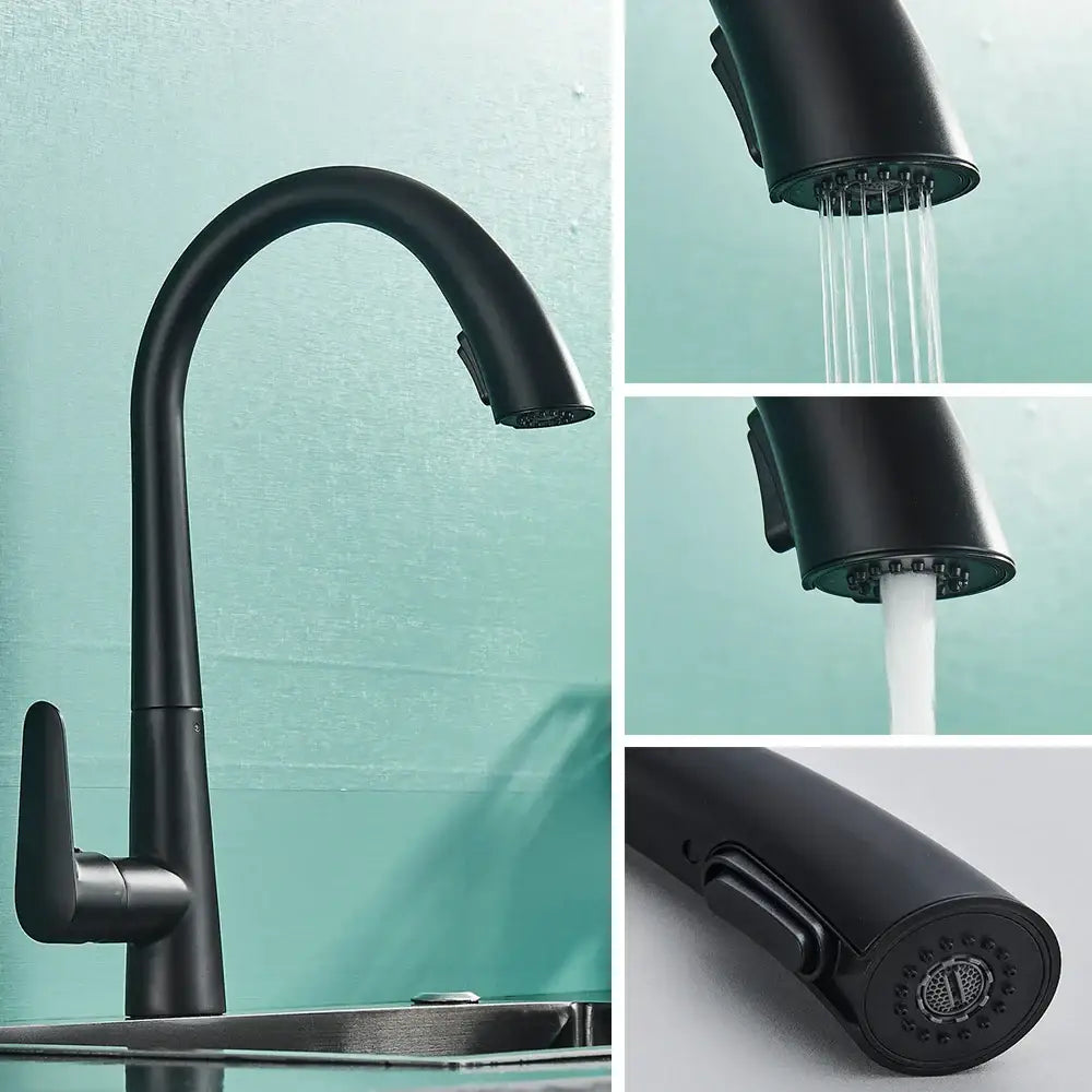 DecorBites™ Black Kitchen Faucet with Pull Out Sprayer and Single Lever Control