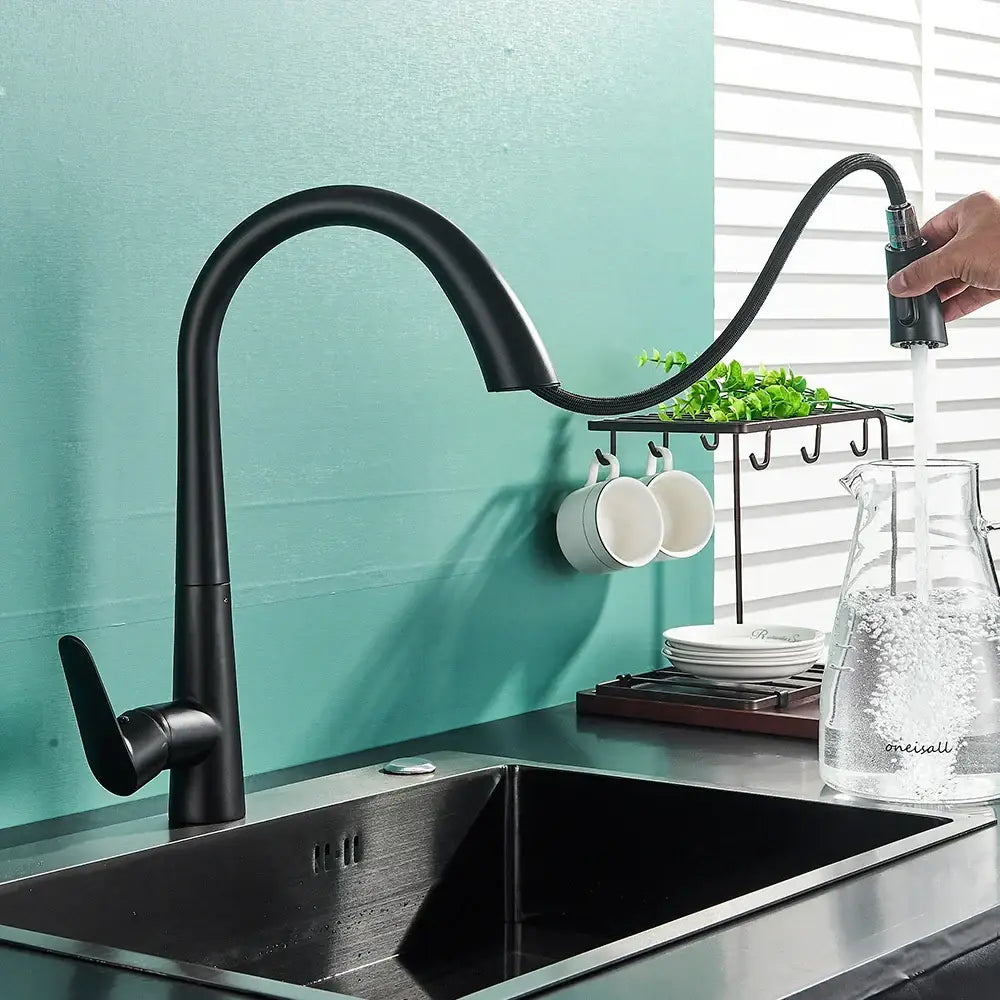 DecorBites™ Black Kitchen Faucet with Pull Out Sprayer and Single Lever Control