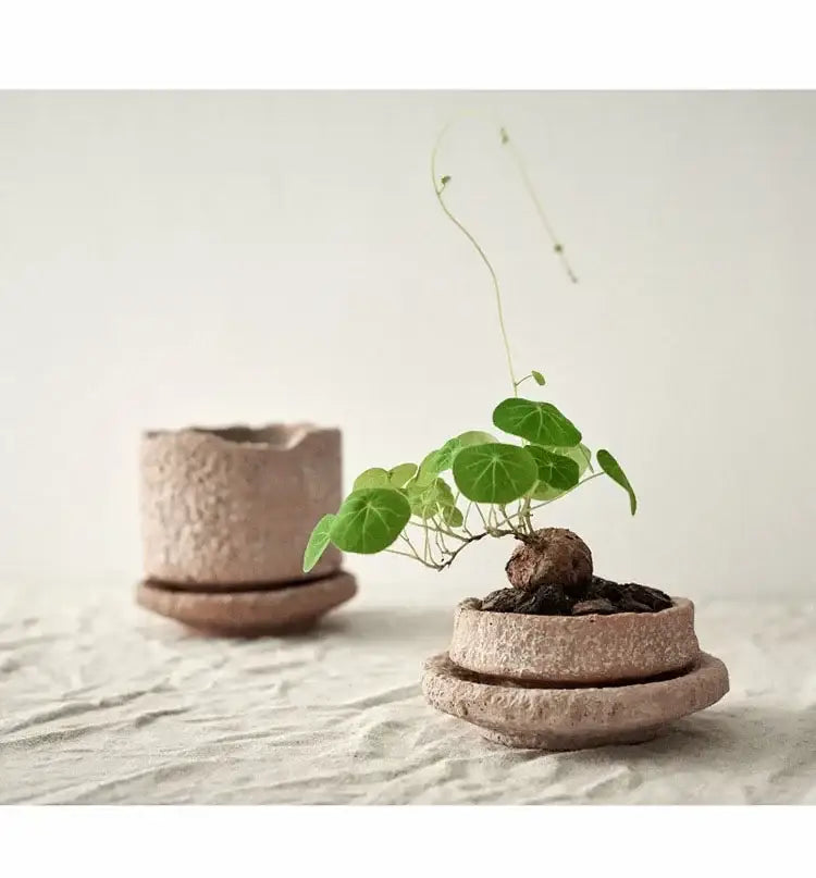 DecorBites™ Handcrafted Ceramic Vase for Flowers