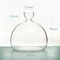 DecorBites™ Hydroponic Avocado Starter Kit - Gift-ready