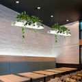 DecorBites™ LED Island Light Fixture: Rectangular Loft Black/White Acrylic Plant Ceiling Pendant - Warm/White Light