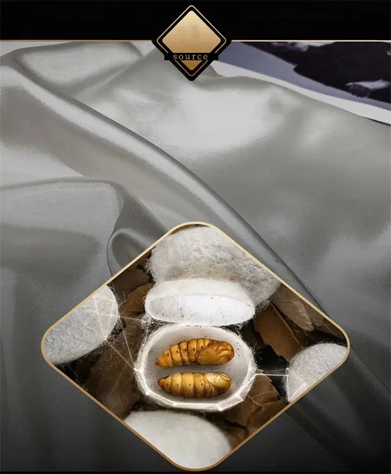 DecorBites™ Luxurious Silk Mulberry Bedding Set Queen & King Sizes