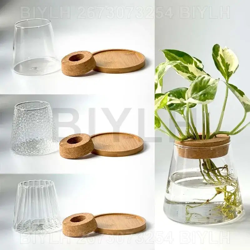 DecorBites™ Small Transparent Glass Vase for Home Decor