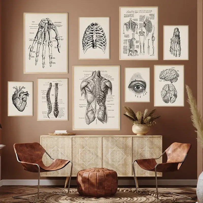 Vintage human anatomy brain canvas print for study or living room