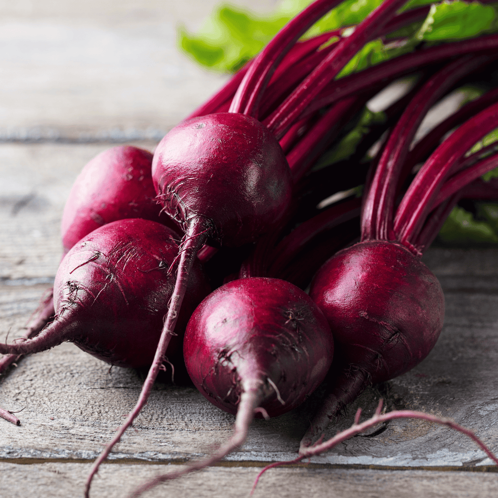 Detroit Dark Red Beet – 200 Seeds