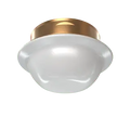 Dome Cover Assembly EC Com Brush Brass 139 Fire Protection