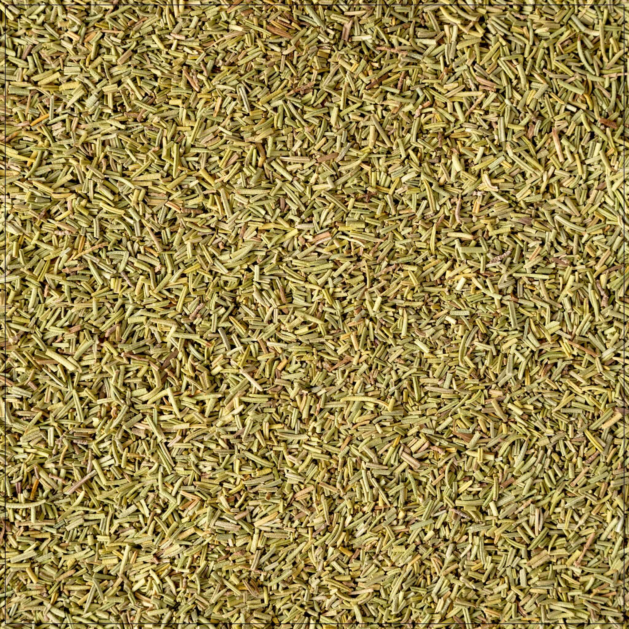 Dried Rosemary