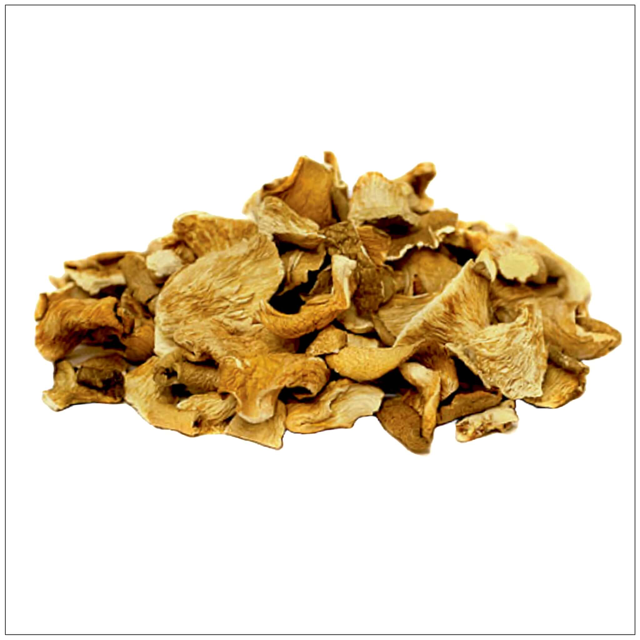 Oyster Mushroom Dried Whole